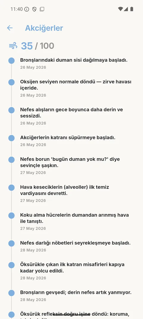 Akciğerler rotası zaman çizelgesi