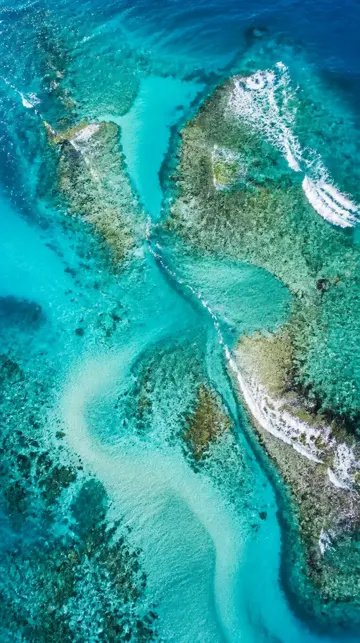 Sea theme